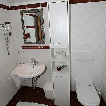 Alte Muhle Hotel 3*