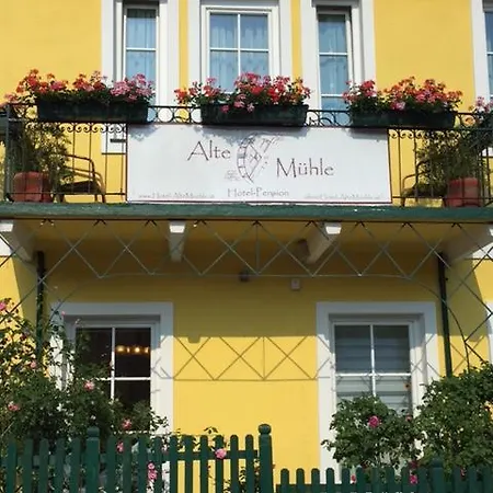 Hotel Alte Muhle 3*