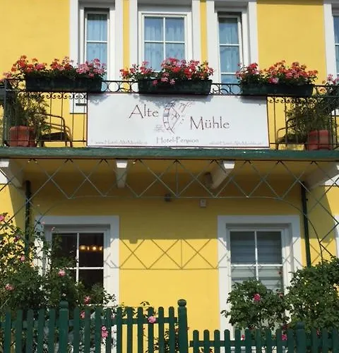 Guest house Alte Muhle 3*